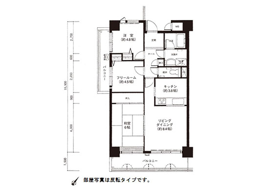 間取りの写真